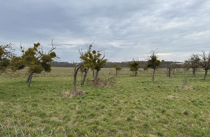 Faites construire votre maison 80.19 m² avec terrain à BU (28) ! — photo 2