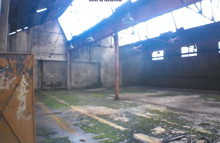 à vendre VIERZON (18) Local industriel 2231 m2 — photo 4
