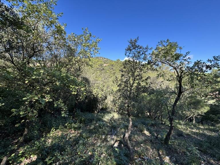 Terrain à construire  700 m² — photo 1