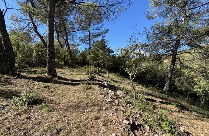 Vente terrain à construire 700 m² Saint-Maximin-la-Sainte-Baume (83470) — photo 2
