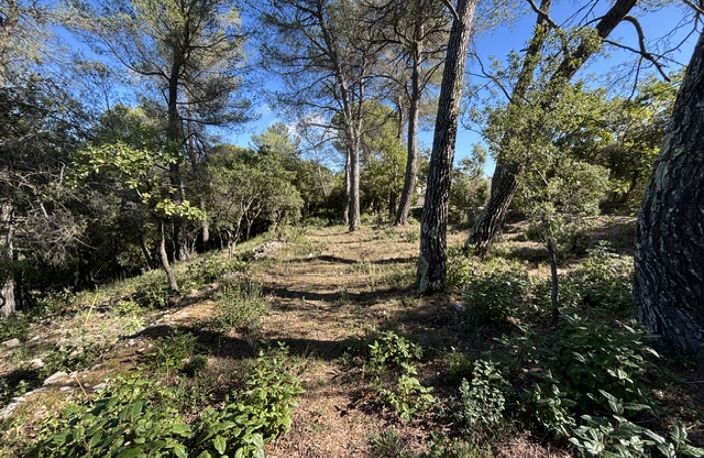 Vente terrain à construire 700 m² Saint-Maximin-la-Sainte-Baume (83470) — photo 3