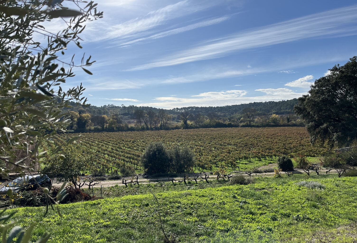 Vente terrain à construire 1200 m² Flassans-sur-Issole (83340) — photo 1