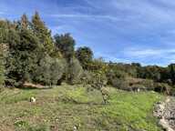 Terrain à construire  1200 m² — photo 2