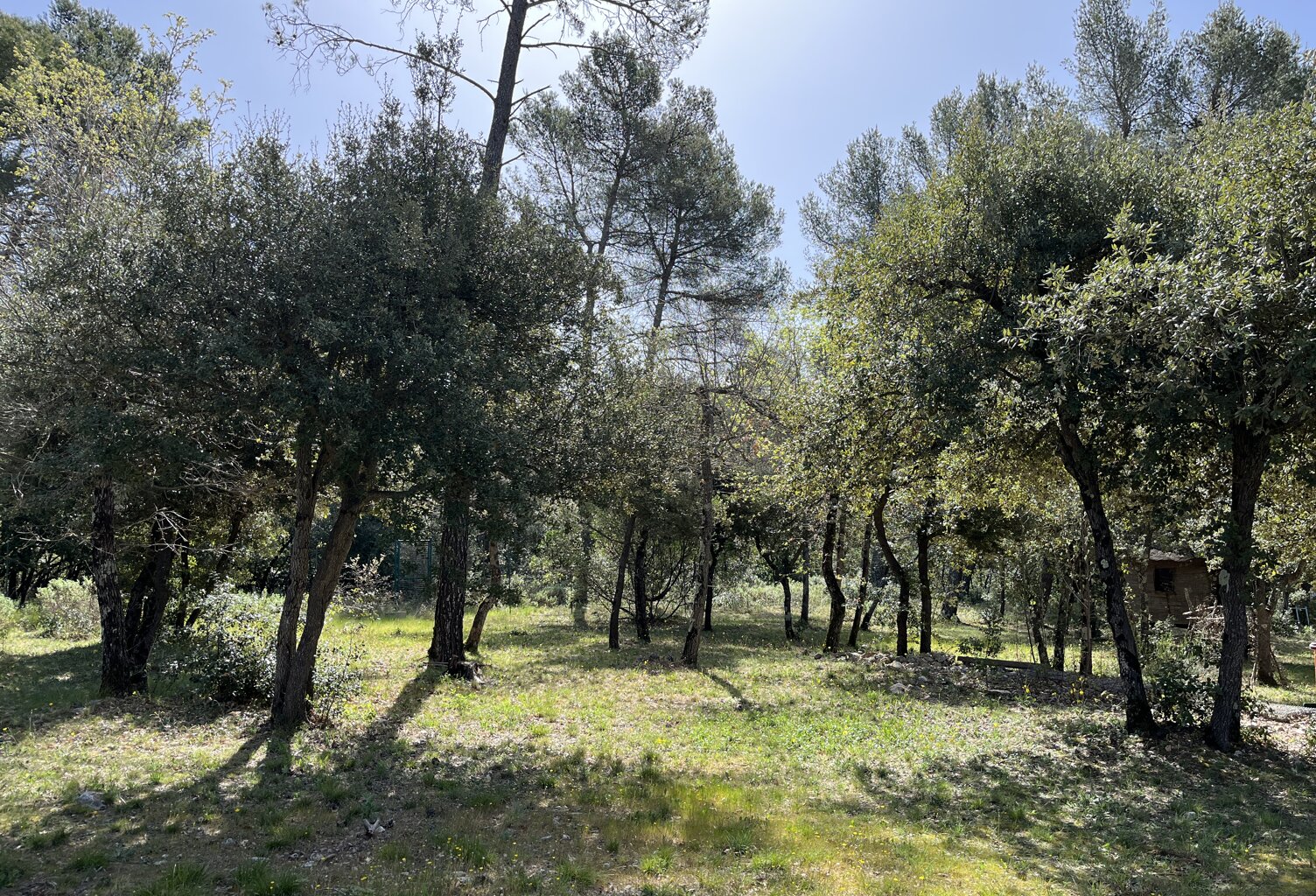 Vente terrain à construire 2000 m² Auriol (13390) — photo 1