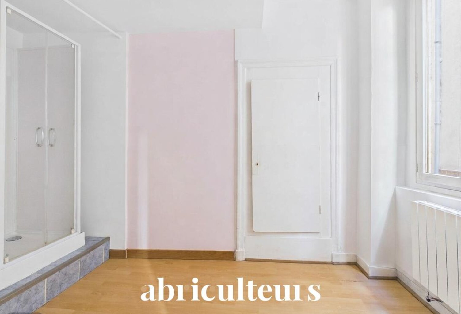 Petit 2 pièces à fort potentiel en vente à Lyon 1er (69001) — photo 1