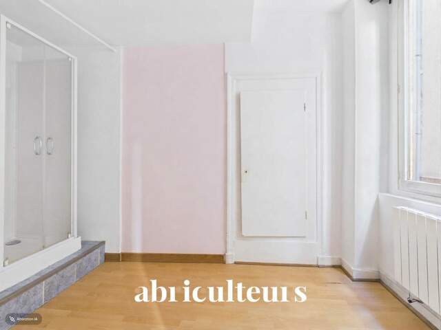 Petit 2 pièces à fort potentiel en vente à Lyon 1er (69001) — photo du bien