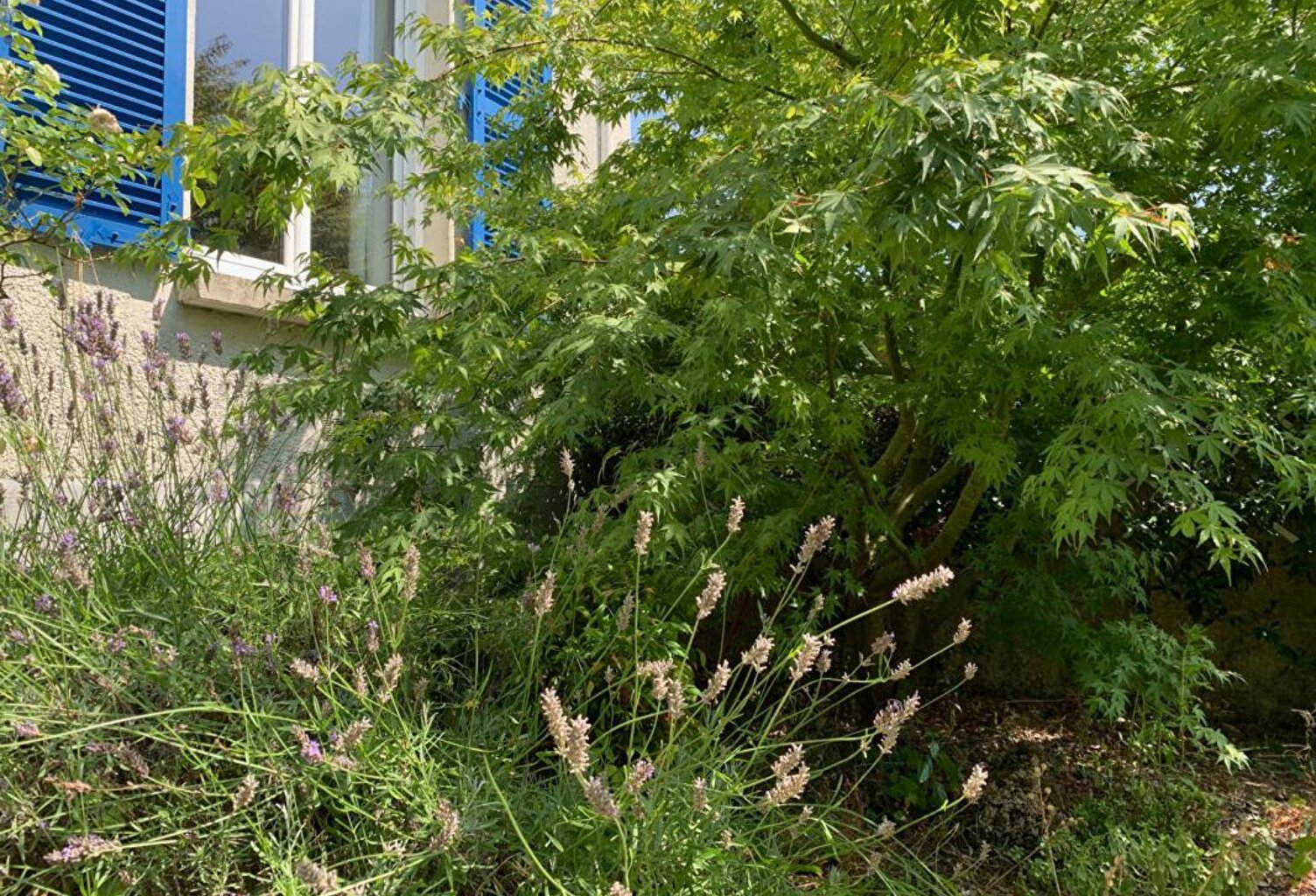 Maison quartier Albert 1 er — photo 1