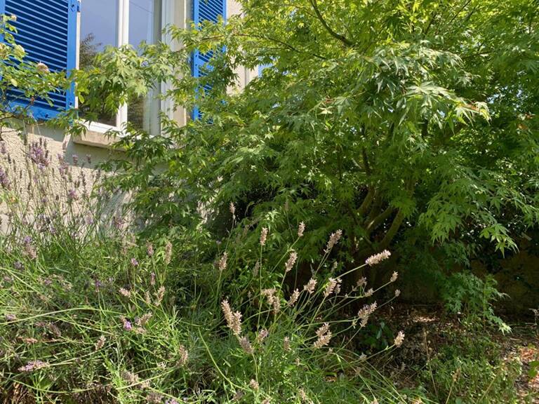 Maison quartier Albert 1 er — photo 1