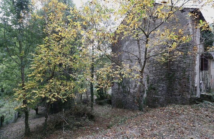 LACAZE (TARN) - MAISON À RÉNOVER AVEC TERRAIN BORDÉ PAR LA RIVIÈRE  - 35 000 — photo 2