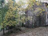LACAZE (TARN) - MAISON À RÉNOVER AVEC TERRAIN BORDÉ PAR LA RIVIÈRE  - 35 000 — photo 2