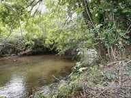 LACAZE (TARN) - MAISON À RÉNOVER AVEC TERRAIN BORDÉ PAR LA RIVIÈRE  - 35 000 — photo 4