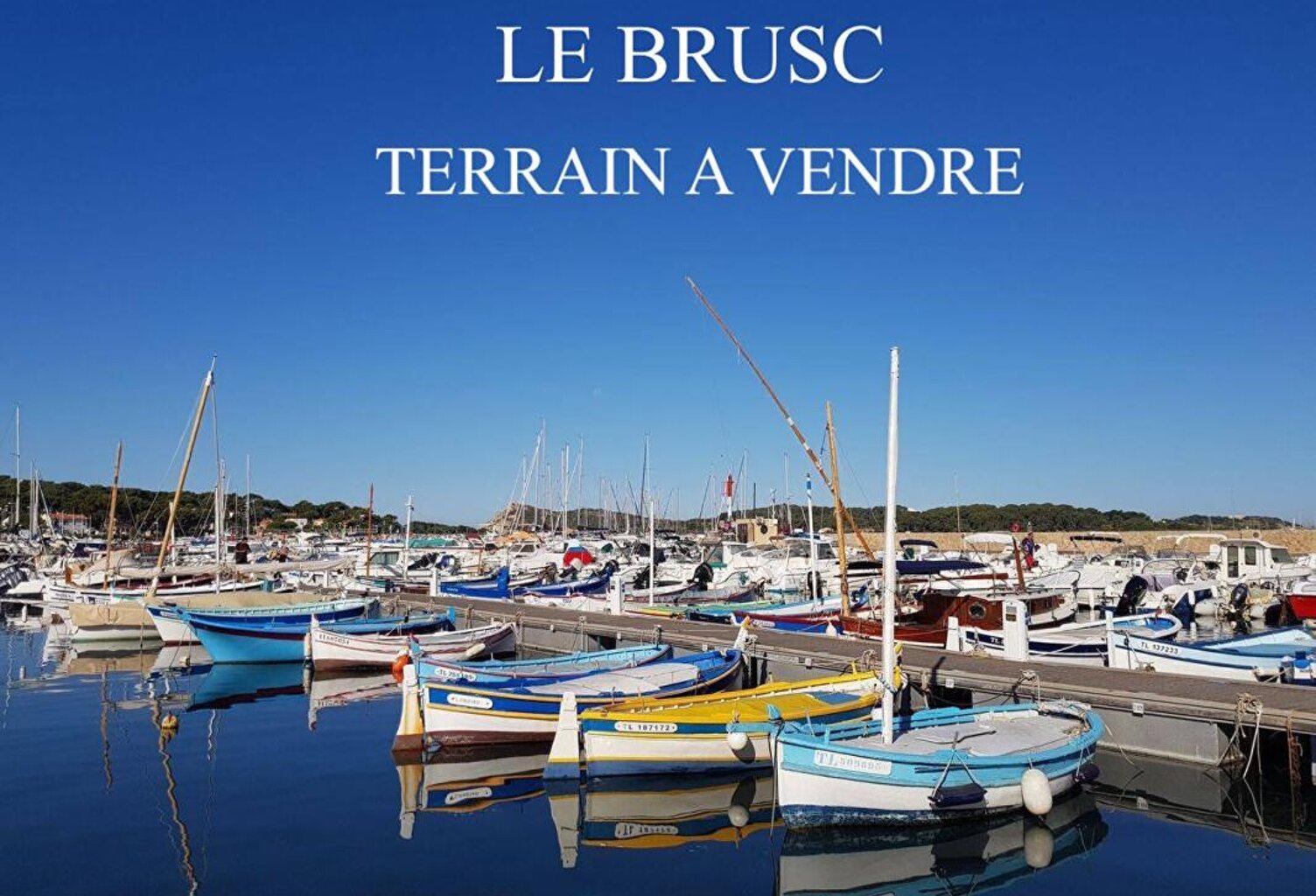 LE BRUSC - 10 MINUTES A PIED DE LA PLAGE DU CROS - TERRAIN  1052 m2 — photo 1