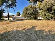 LE BRUSC - 10 MINUTES A PIED DE LA PLAGE DU CROS - TERRAIN  1052 m2 — photo 3