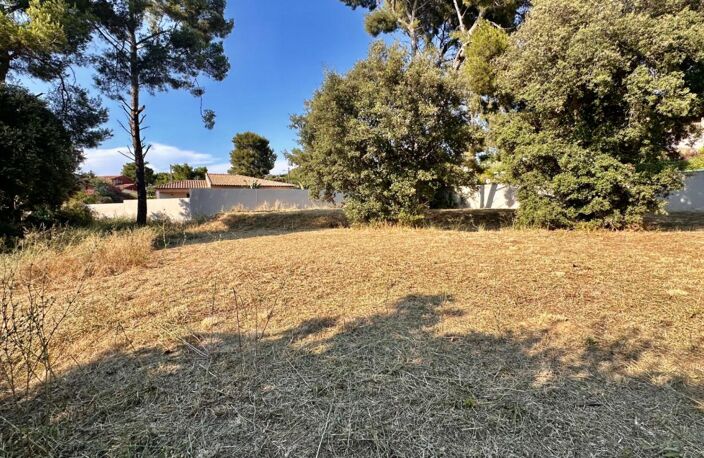 LE BRUSC - 10 MINUTES A PIED DE LA PLAGE DU CROS - TERRAIN  1052 m2 — photo 3