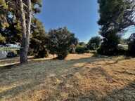 LE BRUSC - 10 MINUTES A PIED DE LA PLAGE DU CROS - TERRAIN  1052 m2 — photo 4