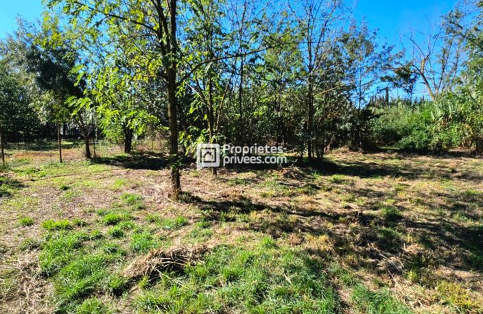 Terrains agricoles à  Elne  d'une superficie totale de 29 154 m2 — photo 5