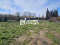 Terrain agricole de plus de 9500 m² avec forage et groupe électrogène — photo 2