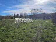 Terrain agricole de plus de 9500 m² avec forage et groupe électrogène — photo 3