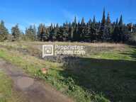 Terrain agricole de plus de 9500 m² avec forage et groupe électrogène — photo 4
