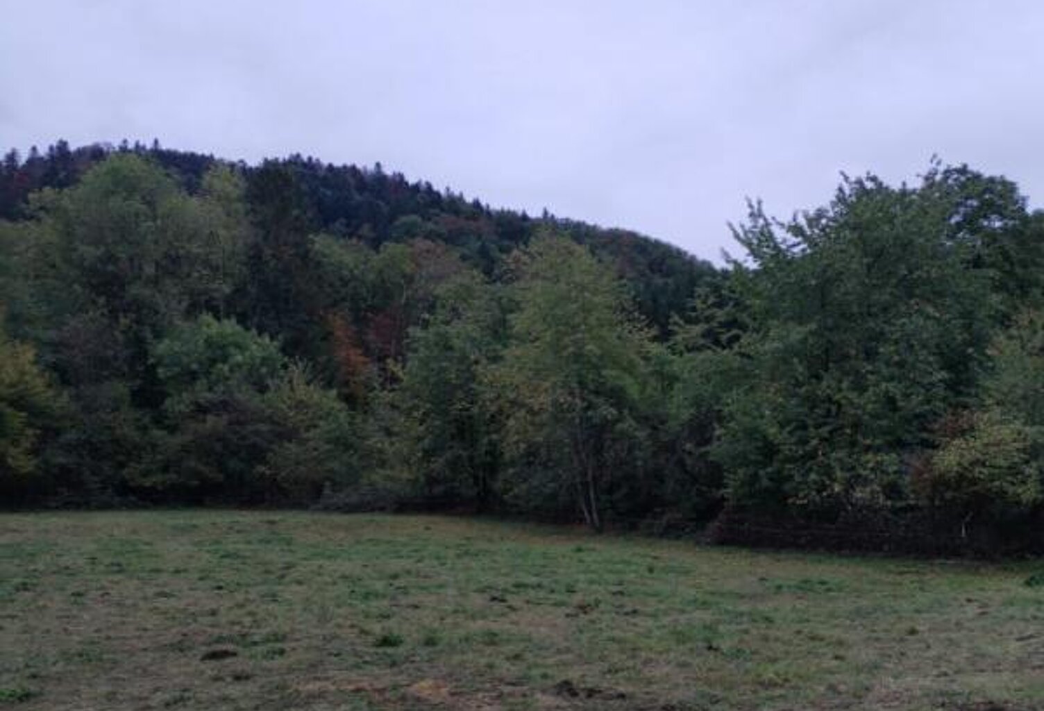 70270-TERNUAY-MELAY ET SAINT HILAIRE Parcelle de terrain constructible d'une contenance de 13a 29 ca — photo 1