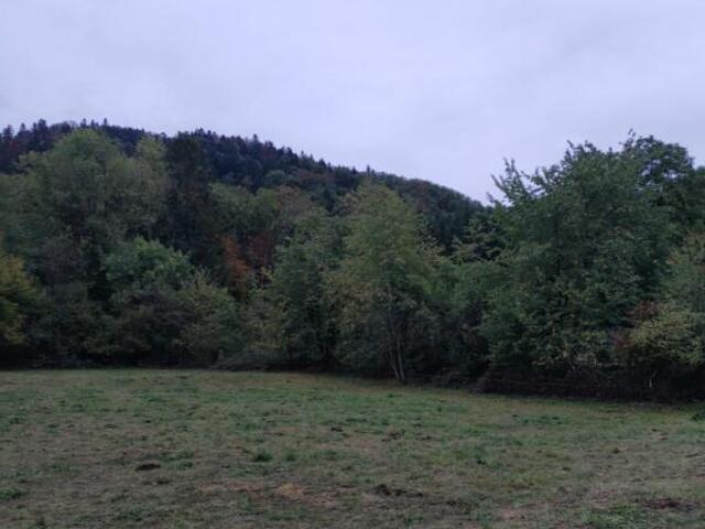Terrain à Ternuay-Melay-et-Saint-Hilaire