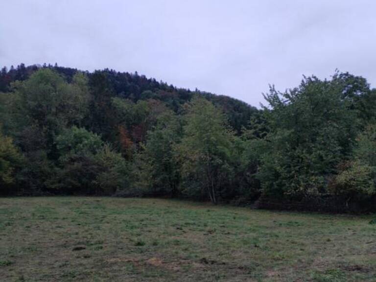 70270-TERNUAY-MELAY ET SAINT HILAIRE Parcelle de terrain constructible d'une contenance de 13a 29 ca — photo 1