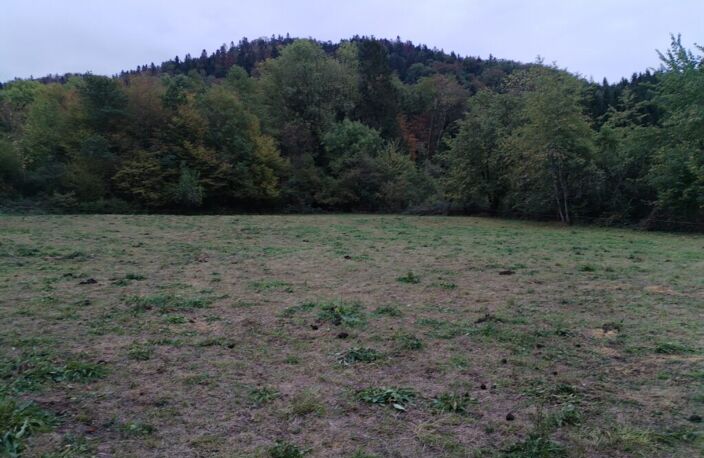 70270-TERNUAY-MELAY ET SAINT HILAIRE Parcelle de terrain constructible d'une contenance de 13a 29 ca — photo 2