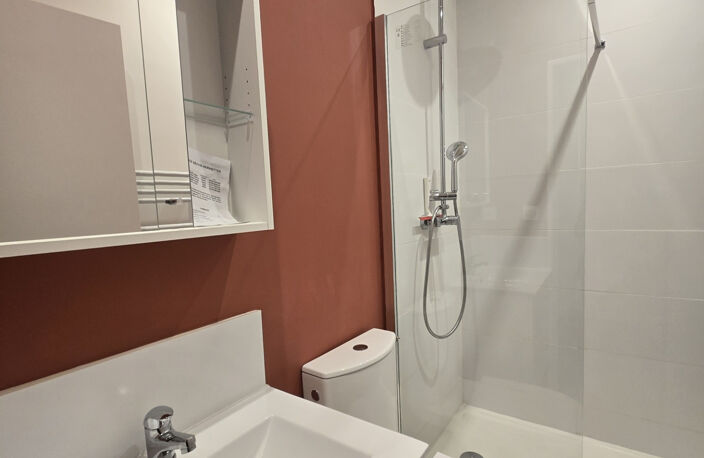 T1 meublé duplex TOTALEMENT rénové  en 2025 avec terrasse et — photo 4
