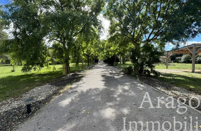 PERPIGNAN, PROPRIÉTÉ DE CARACTÈRE SUR PRÈS DE 2 HECTARES — photo 5