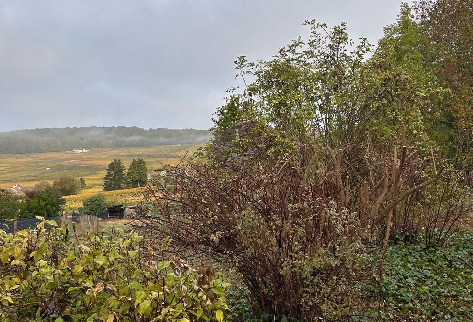 Vente Terrain 1 056 m&sup2; — photo 1