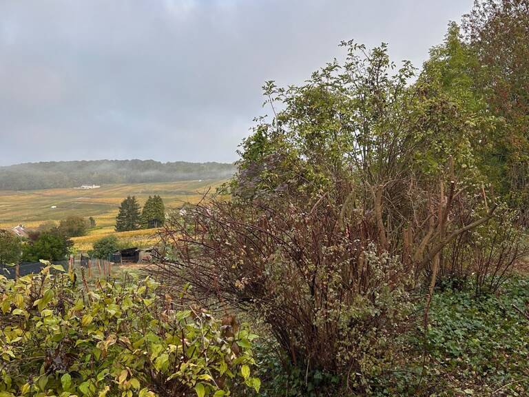 Vente Terrain 1 056 m&sup2; — photo 1