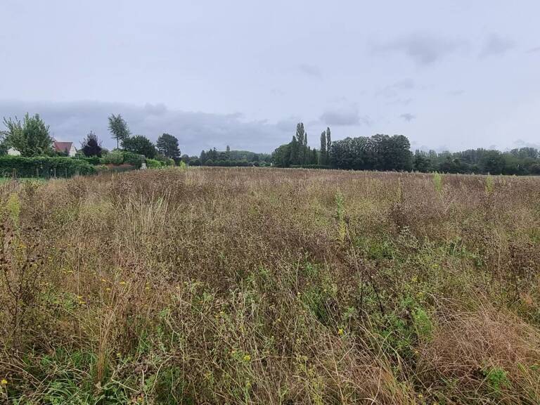Terrain à bâtir Courlon sur Yonne. — photo 1