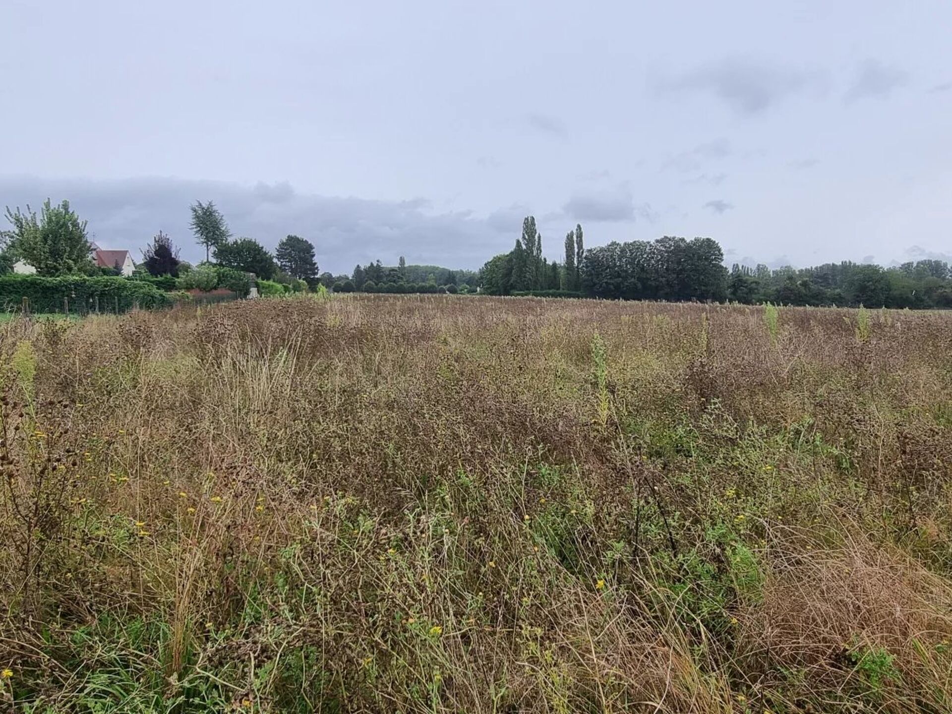Terrain 1250 m² · à Courlon-sur-Yonne · 37 500 €