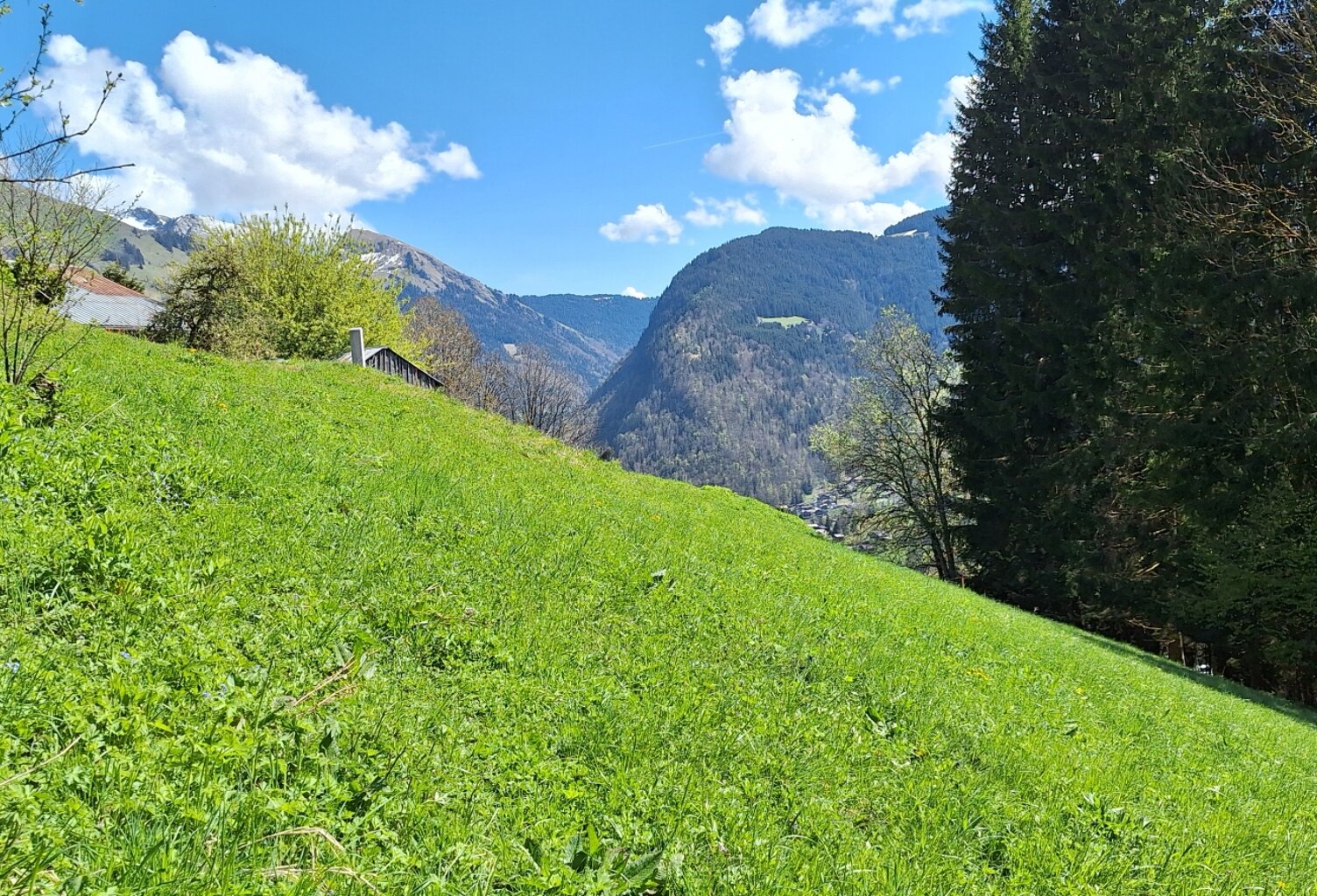 Vente Terrain à bâtir 1 014 m&sup2; — photo 1