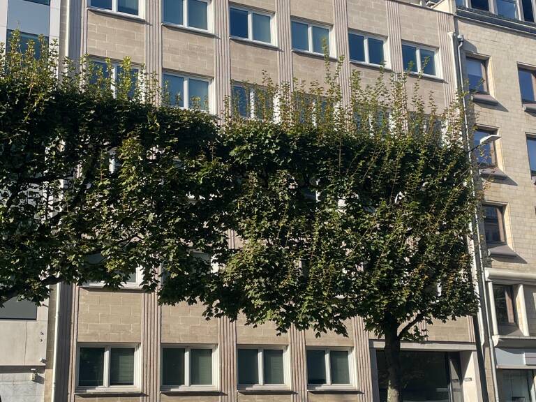 Immeuble   — photo 1