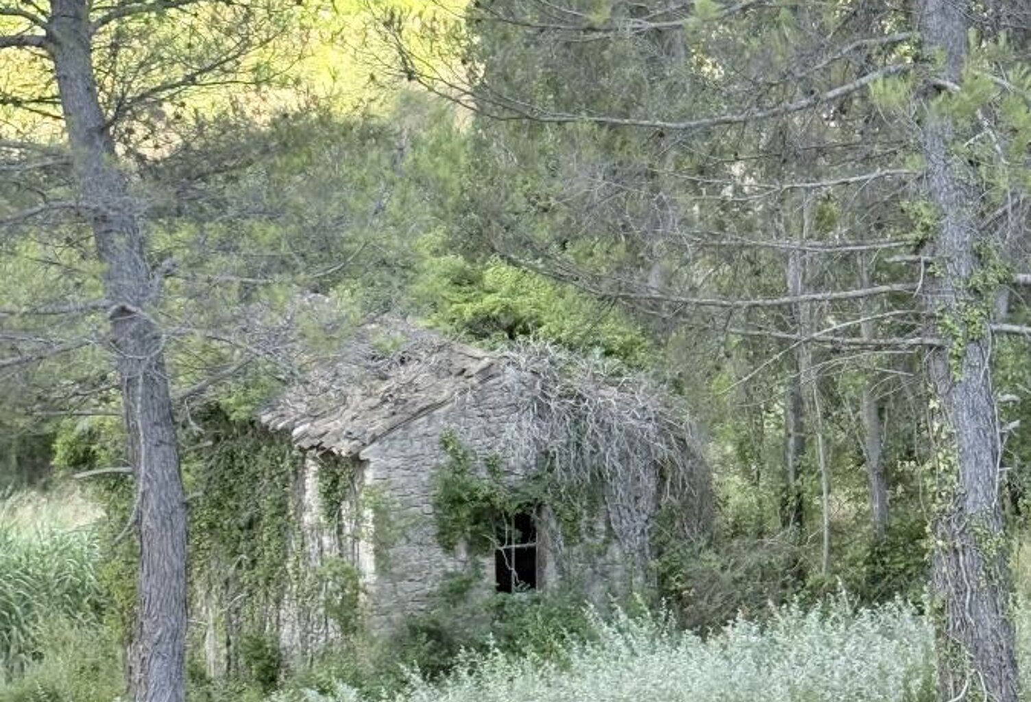 Terrain avec maison de 60m2 — photo 1