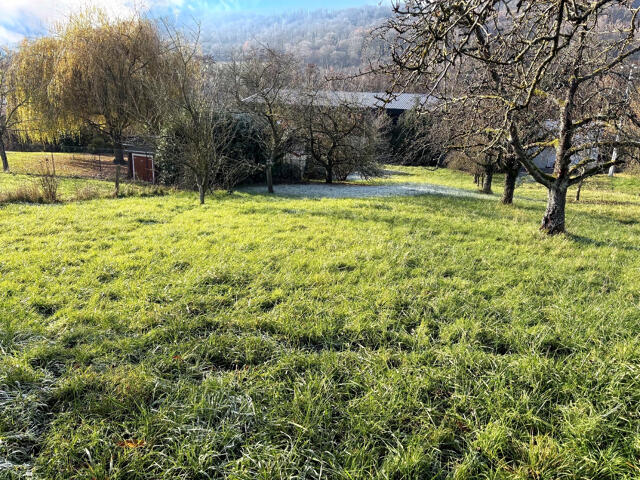 Terrain proposé à Apach