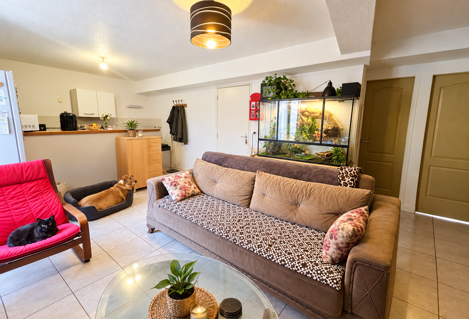 Appartement T3 vendu loué   Parfait état   Idéal investissem — photo 1