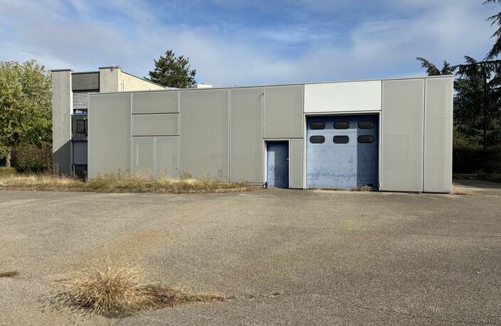 MIXTE ACTIVITES-BUREAUX à LOUER — photo 2