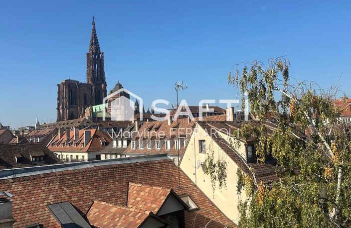 Appartement rénové, vue sur l'ill, ascenseur — photo 4