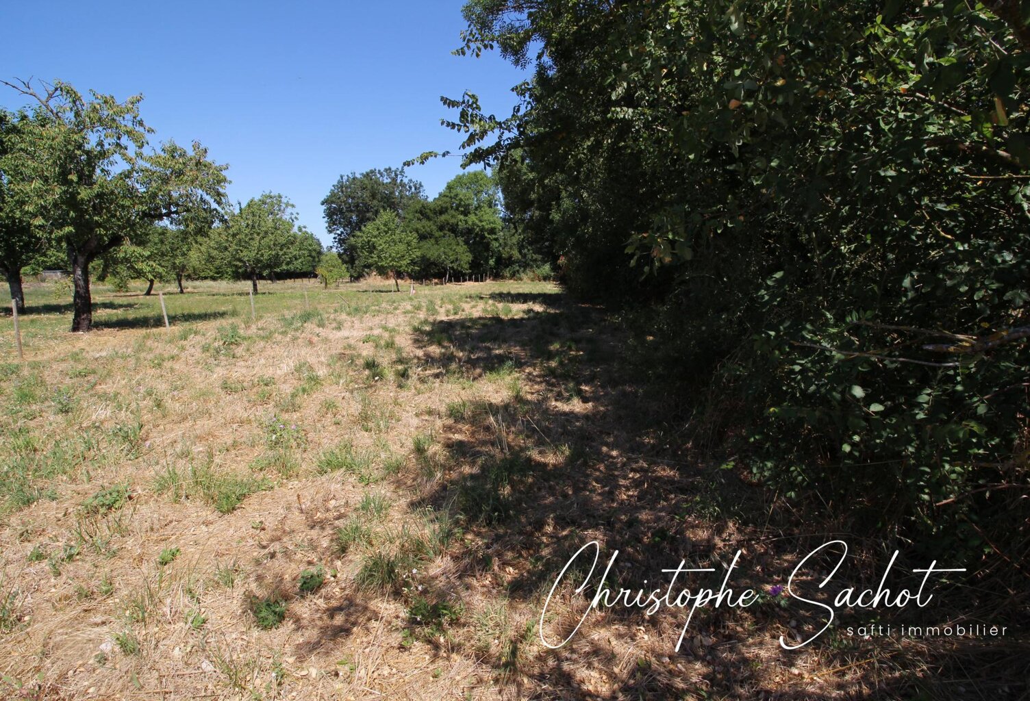 Situé à Fors 79230 très jolie parcelle à bâtir, plane et entourée de haies vives — photo 1