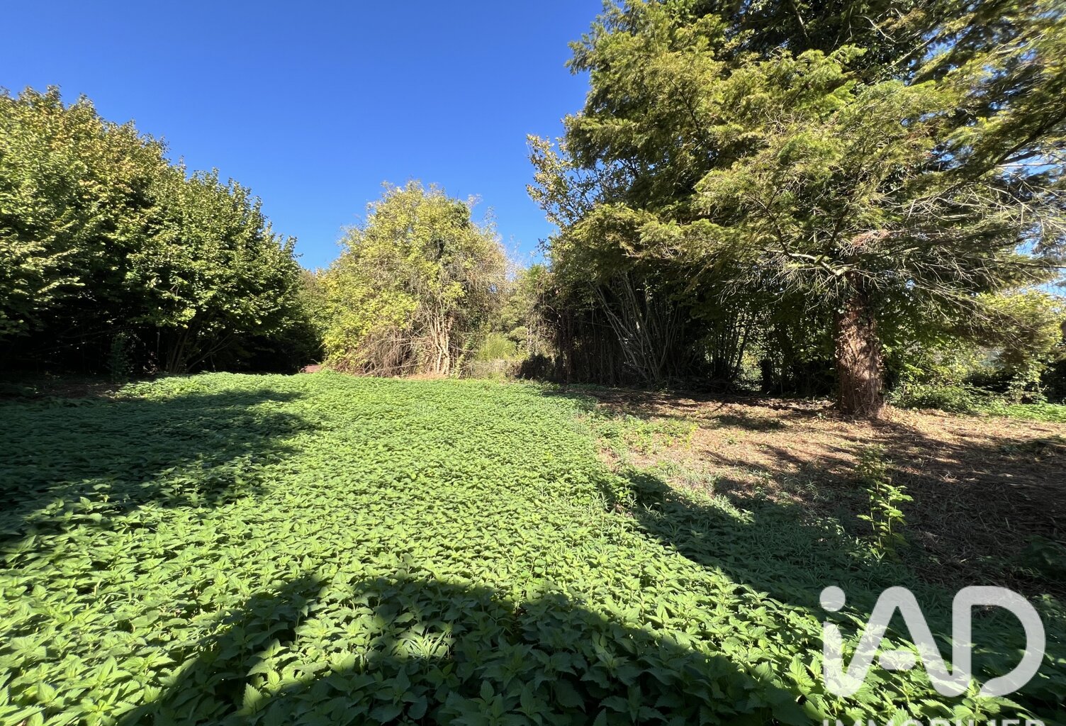 Vente Terrain à bâtir 1 256 m&sup2; — photo 1