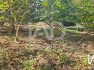 Vente Terrain à bâtir 3 773 m&sup2; — photo 4