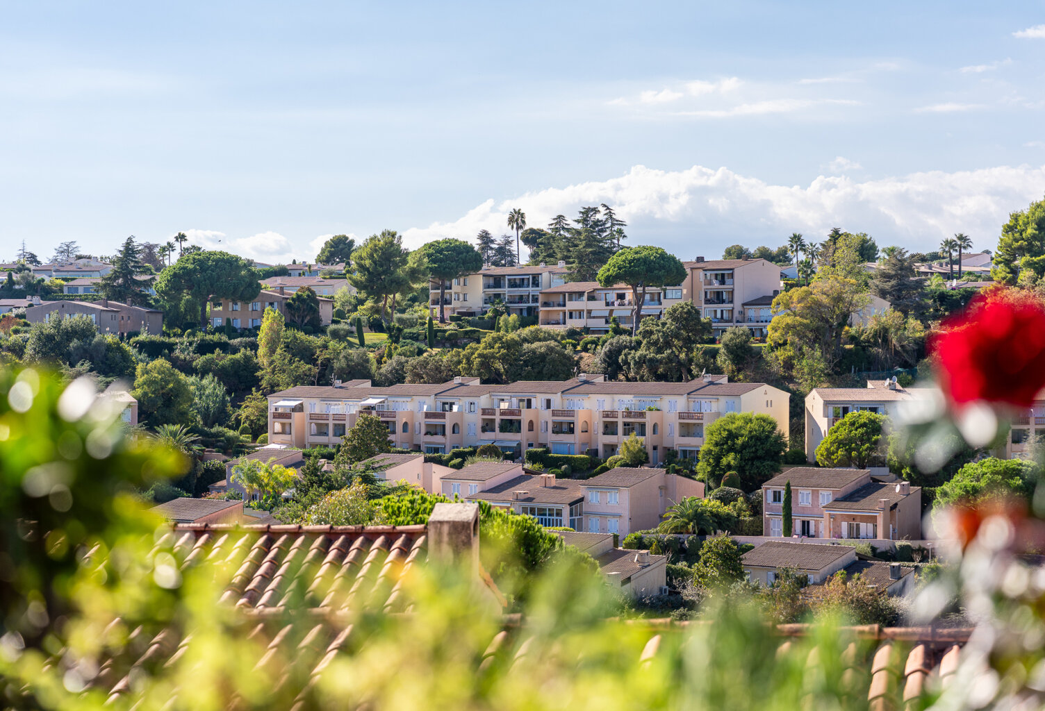 À vendre   Superbe 2 pièces rénové au calme, proche du Parc — photo 1