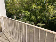 AVIGNON : Lumineux T4 — photo 2