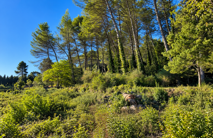 TERRAIN À BÂTIR DE 3 348m2 — photo 4