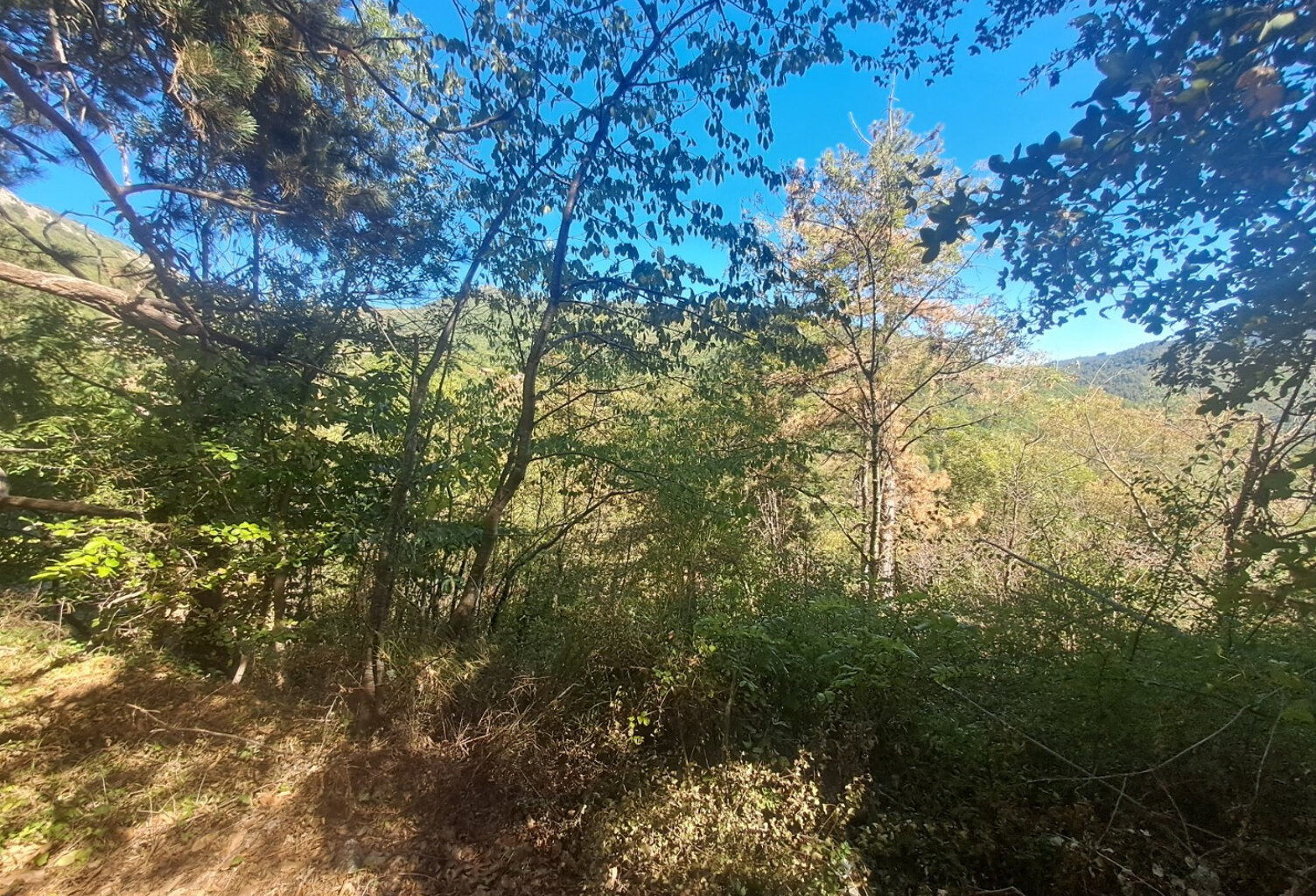 Terrain constructible à vendre   Vialas (3133 m2) — photo 1