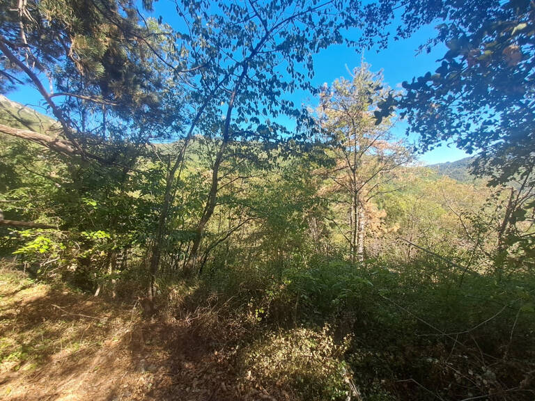 Terrain constructible à vendre   Vialas (3133 m2) — photo 1