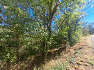 Terrain constructible à vendre   Vialas (3133 m2) — photo 2