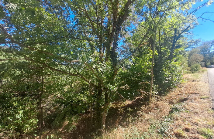 Terrain constructible à vendre   Vialas (3133 m2) — photo 2